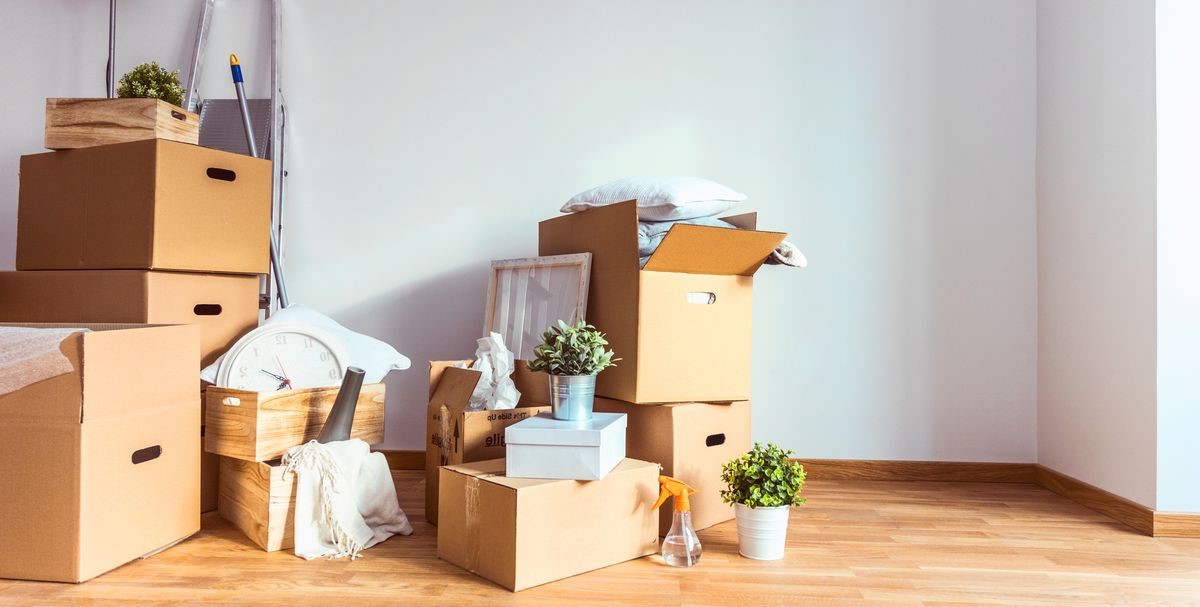 Stack of moving boxes and potted plants arranged in a bright, empty room with wooden floors