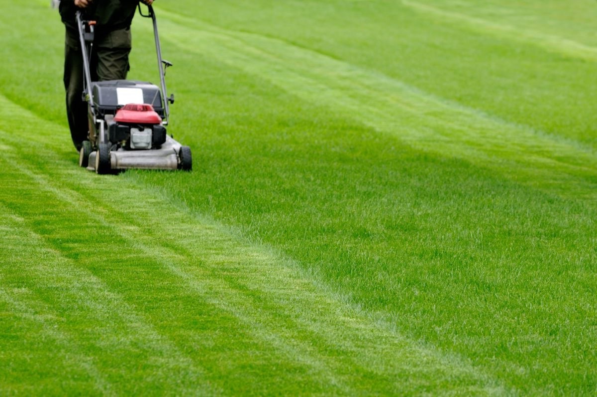 A person mowing bright green grass with a red and black lawn mower, leaving neat stripes on the lawn